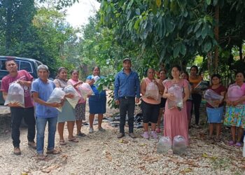 Entrega de alevines fortalece la producción acuícola en Santa Ana