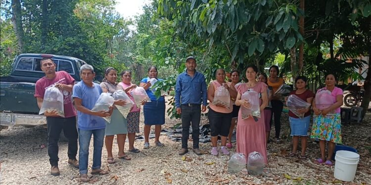 Entrega de alevines fortalece la producción acuícola en Santa Ana
