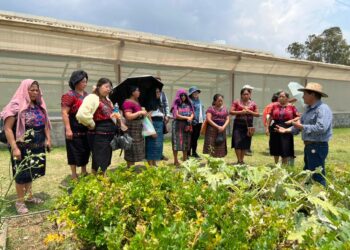 Mujeres de Xenacoj aprenden de huertos familiares y otros sistemas de producción