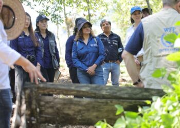 Alianza institucional impulsa emprendimientos rurales y agricultura sostenible en el área Ixil