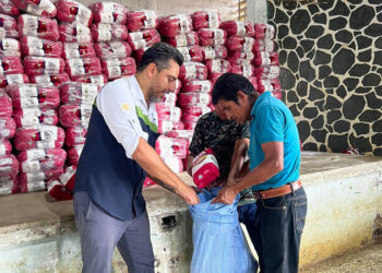 Apoyo alimentario llega a más de 363 mil hogares