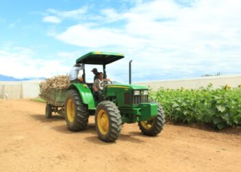 Aprobada la Política Sectorial Agropecuaria 2026-2032 para transformar el campo