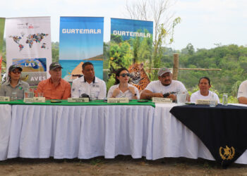 Biosfera Maya un refugio de aves migratorias