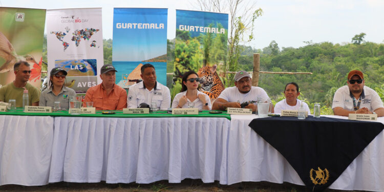 Biosfera Maya un refugio de aves migratorias