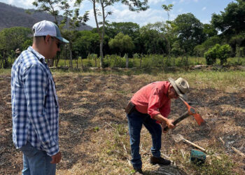 Brindan asistencia técnica en muestreo de suelos para cultivo de limón