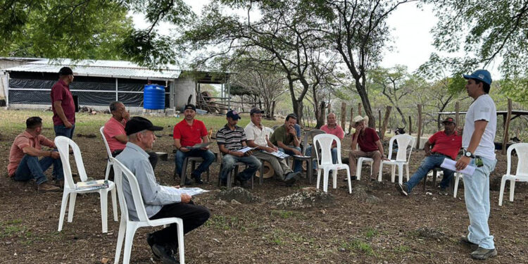 Capacitan a ganaderos para control del Gusano Barrenador