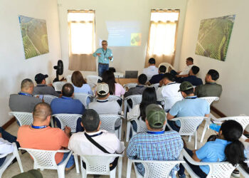 Aprenden procedimientos fitosanitarios para exportar aguacate Hass a los Estados Unidos