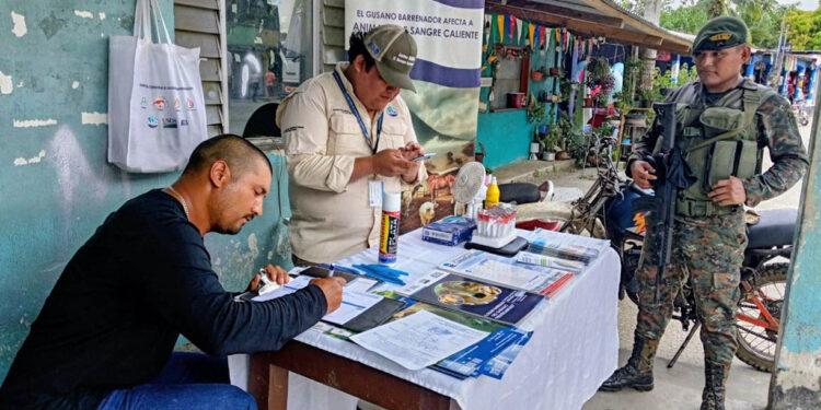 Inspeccionan ganado en tránsito en prevención por el Gusano Barrenador