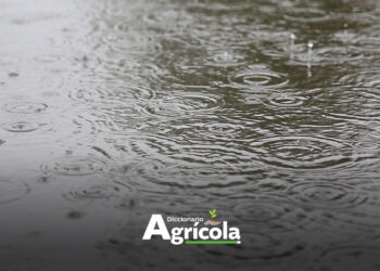 Diccionario Agrícola: Cosecha de Agua de Lluvia