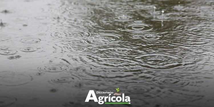 Diccionario Agrícola: Cosecha de Agua de Lluvia