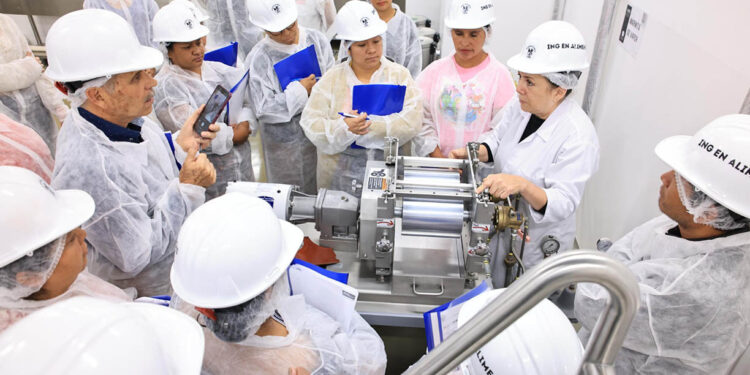 Deshidratación de alimentos promueve nuevas oportunidades para productores