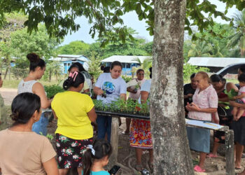 Entrega de pilones permite implementar huertos familiares en Las Cruces