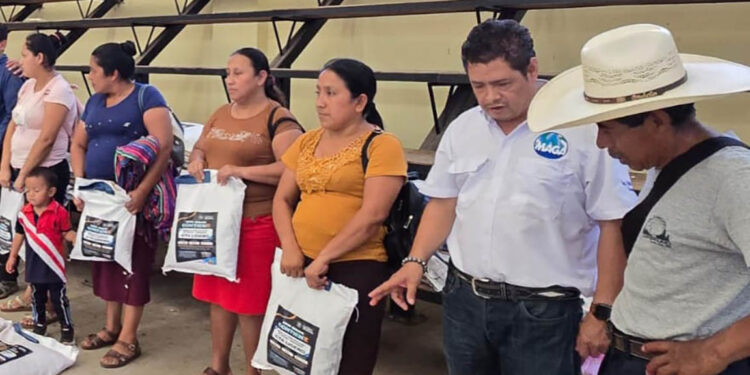 Entrega de semillas fortalece la agricultura familiar de Escuintla