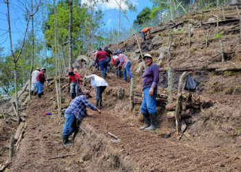 Entregan semillas y brindan asistencia técnica para establecer huerto comunal