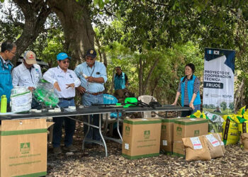 Establecen parcelas demostrativas para asegurar producción de granos básicos en Jutiapa