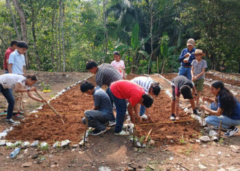Estudiantes aprenden de agricultura sostenible y huertos escolares