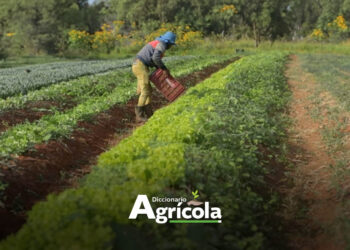 Diccionario Agrícola: Fitosanidad