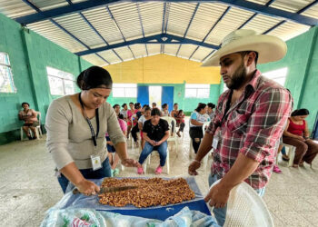 Fomentan el desarrollo económico familiar y la seguridad alimentaria en Comapa