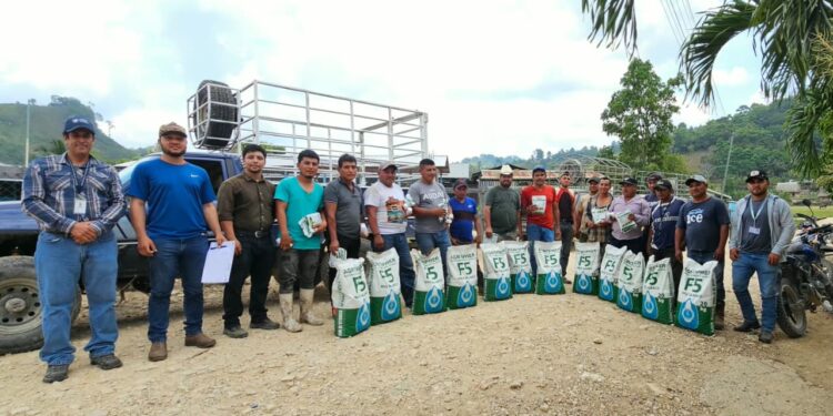 Fortalecen la producción agrícola en municipio de Petén