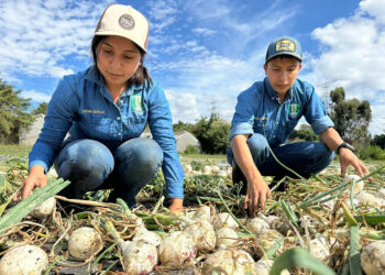 Futuros Peritos Agrónomos consolidan conocimientos para producción sostenible de hortalizas