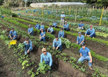 Futuros peritos agrónomos aplican el modelo “Aprender Haciendo” en cultivos hortícolas