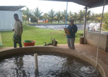 Acuicultura genera oportunidades y seguridad alimentaria