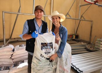 Entrega oportuna de semillas fortalece agricultura familiar