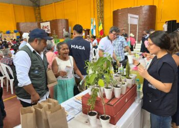 Huertos que siembran bienestar y compañía de personas adultas mayores