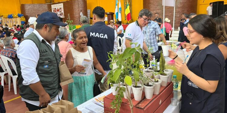 Huertos que siembran bienestar y compañía de personas adultas mayores