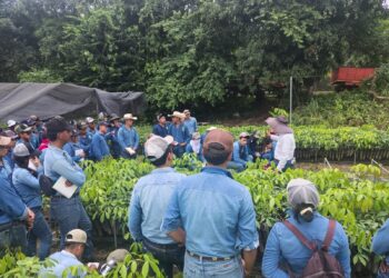 ENCA impulsa el aprendizaje práctico con visitas técnicas a empresas agrarias