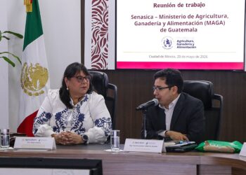 Guatemala y México coordinan acciones de control del Gusano Barrenador