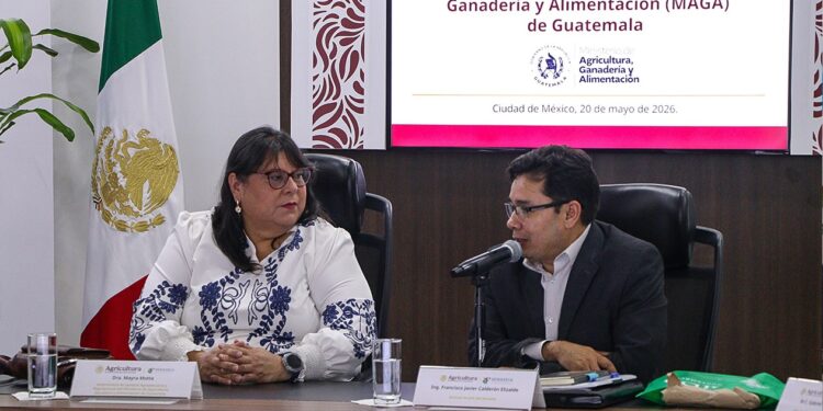 Guatemala y México coordinan acciones de control del Gusano Barrenador
