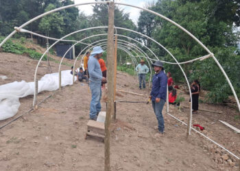 En Huehuetenango tecnifican la agricultura familiar con macrotúneles