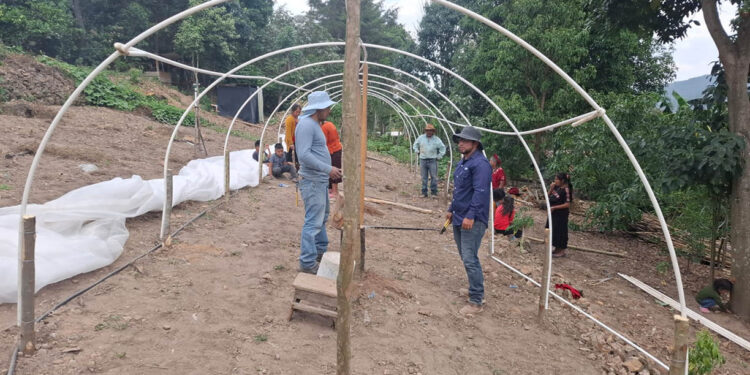 En Huehuetenango tecnifican la agricultura familiar con macrotúneles