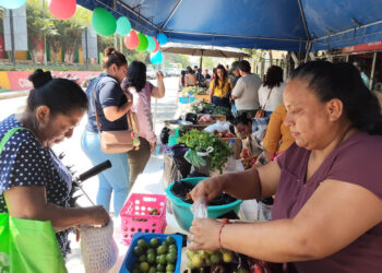 Impulsan comercialización directa con la Feria del Agricultor en El Progreso