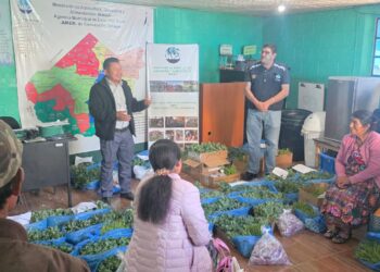 Impulsan la producción de hortalizas en beneficio en San Marcos