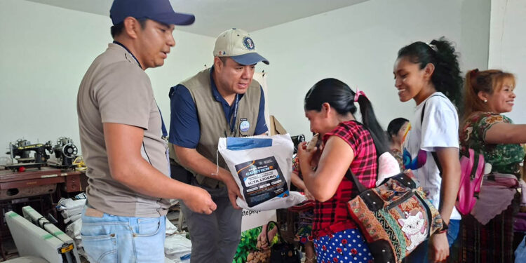 Impulsan la siembra de maíz, frijol y ayote en comunidades de la agricultura familiar
