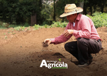 Diccionario Agrícola: Labranza mínima