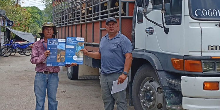 Más de 10 mil animales inspeccionados por acciones contra el Gusano Barrenador