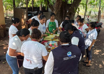 Productores apícolas formalizan su actividad en San Marcos