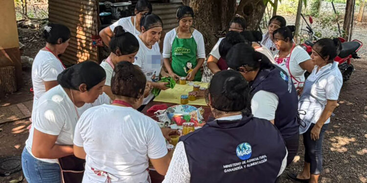 Productores apícolas formalizan su actividad en San Marcos