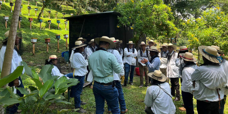 Optimizan capacidades técnicas de apicultores de Santa Rosa para fortalecer producción de miel
