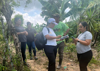 Optimizan la identificación de familias agricultoras en el municipio de Puerto Barrios