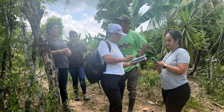 Optimizan la identificación de familias agricultoras en el municipio de Puerto Barrios