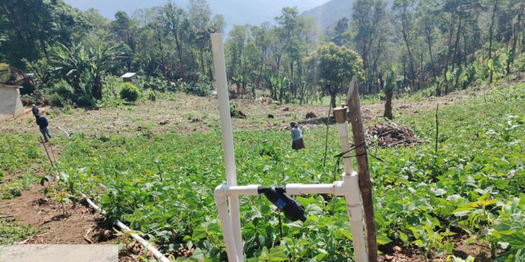 Optimizan sistemas productivos resilientes para asegurar el desarrollo sostenible del agro