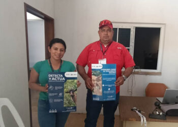 Refuerzan acciones de control y erradicación del gusano barrenador