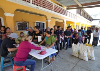 Semilla certificada impulsa recuperación agrícola de familias en Santa María de Jesús