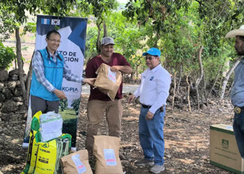 Semillas e insumos fortalecen la producción de frijol en el corredor seco