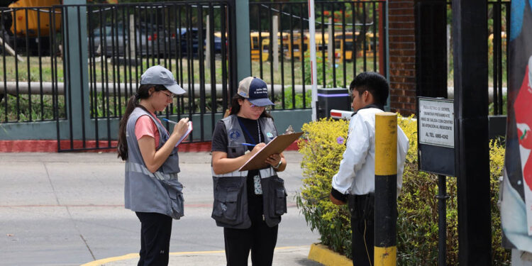 UBA investiga posible envenenamiento de gatos