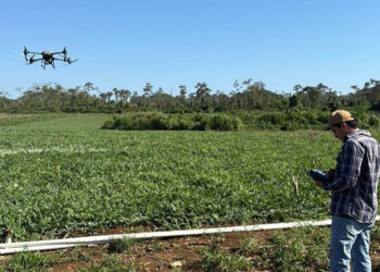 Uso de drones mejora el control de cultivos en La Libertad